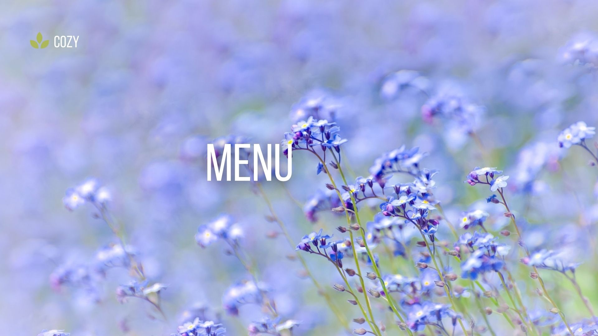 メニューと料金